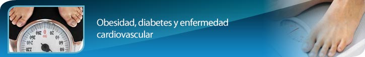 lim13_13