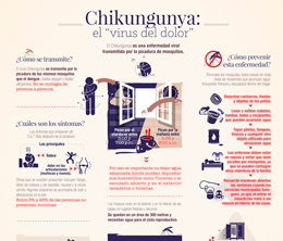 Chikungunya el “virus del dolor”