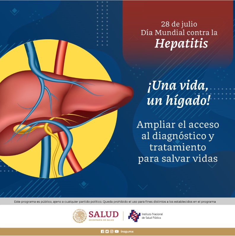 hepatitis b hígado