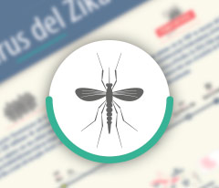 160704 zika