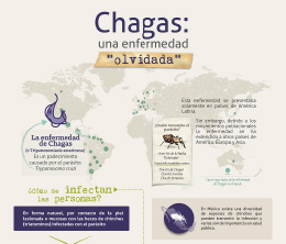 Infografía - Chagas: una enfermedad “olvidada”
