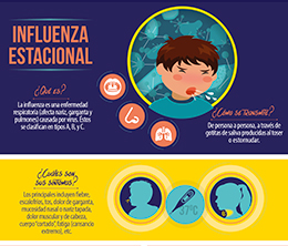 Infografía - Influenza Estacional