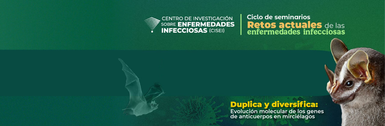 Duplica y diversifica: evolución molecular de los genes de anticuerpos en murciélagos